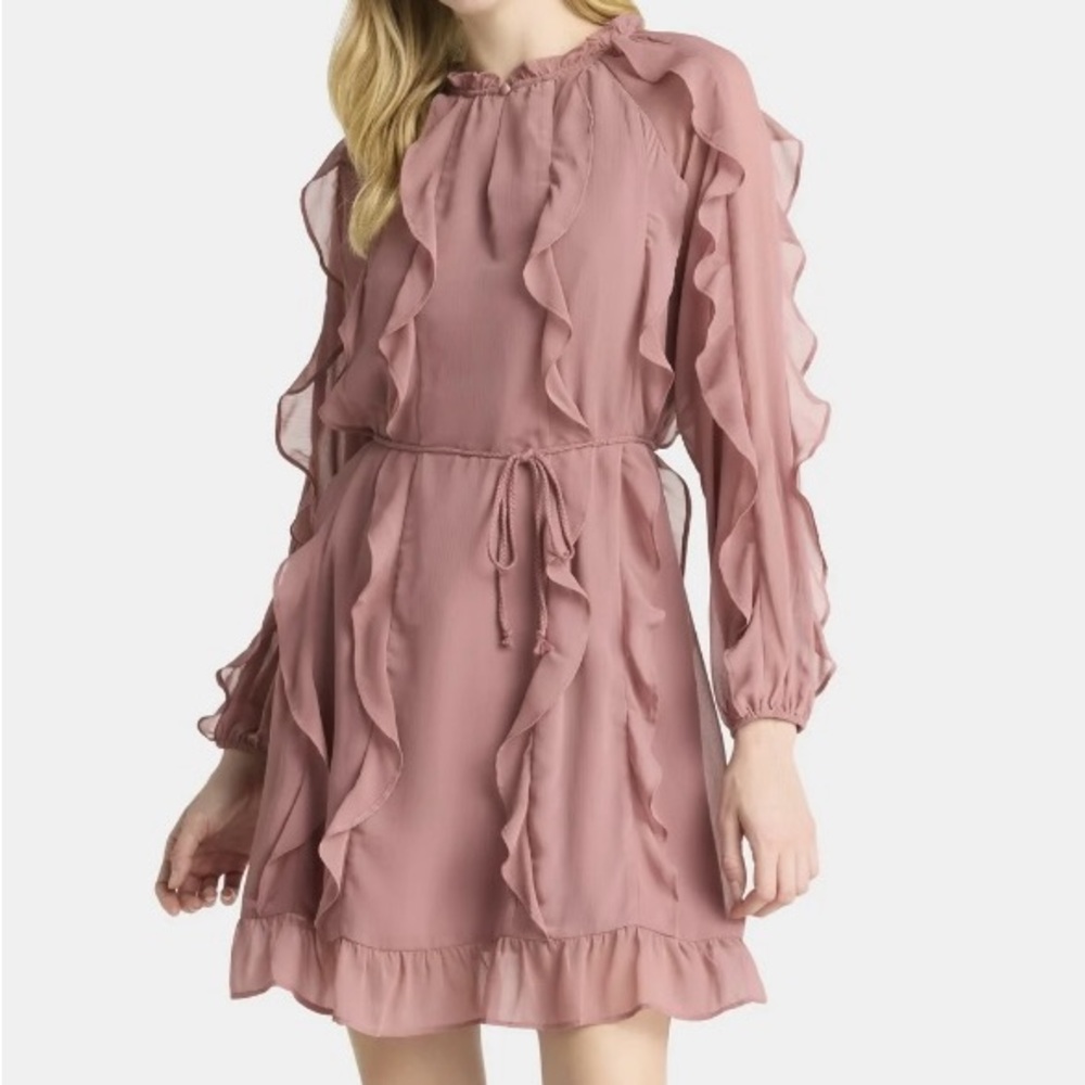 NWT Time And True Ruffled Pink Long Sleeve Dress size small (4-6)